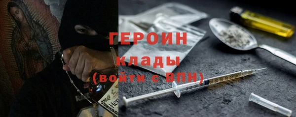 прущие грибы Медвежьегорск