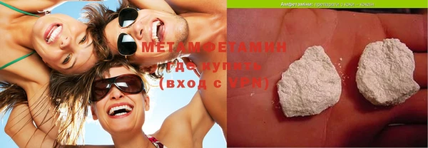 прущие грибы Медвежьегорск