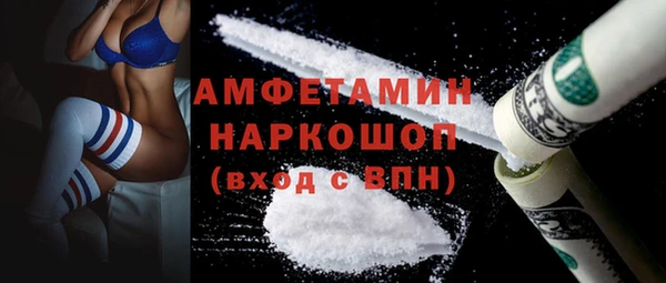 прущие грибы Медвежьегорск