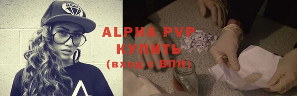 прущие грибы Медвежьегорск