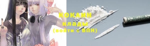 шишки Михайловка