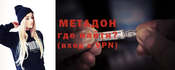 прущие грибы Медвежьегорск