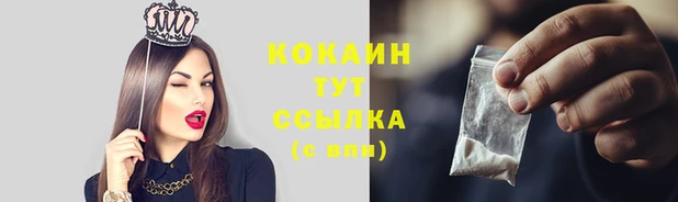 прущие грибы Медвежьегорск