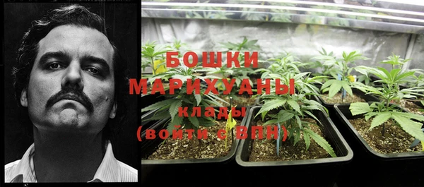 дурь Медногорск