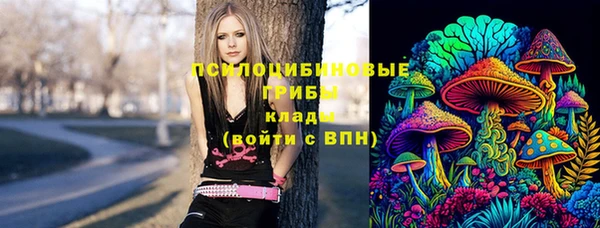 ПСИЛОЦИБИНОВЫЕ ГРИБЫ Михайловск