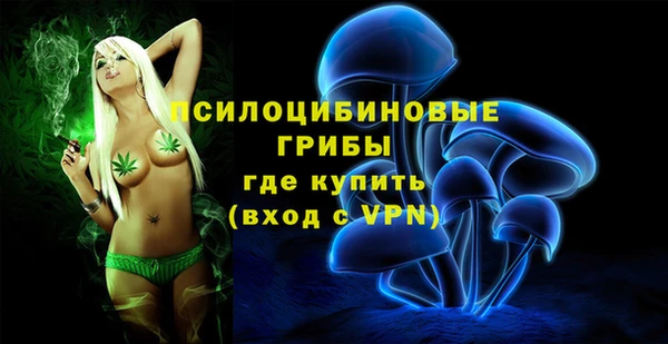 бутират Мегион