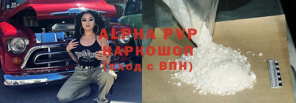прущие грибы Медвежьегорск