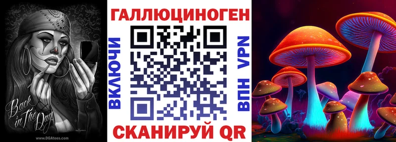 наркота  Медвежьегорск  Псилоцибиновые грибы MAGIC MUSHROOMS 
