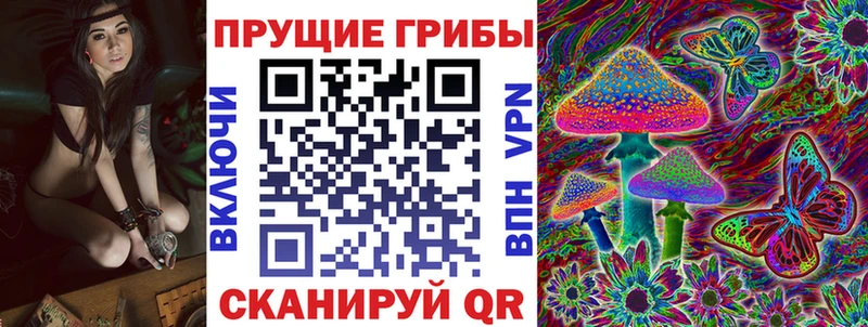Псилоцибиновые грибы Psilocybe Медвежьегорск