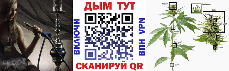 сайты даркнета телеграм  Медвежьегорск  Шишки марихуана конопля 